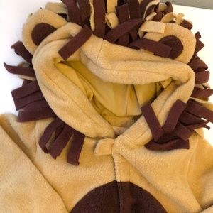 Lion costume ( Toddler)